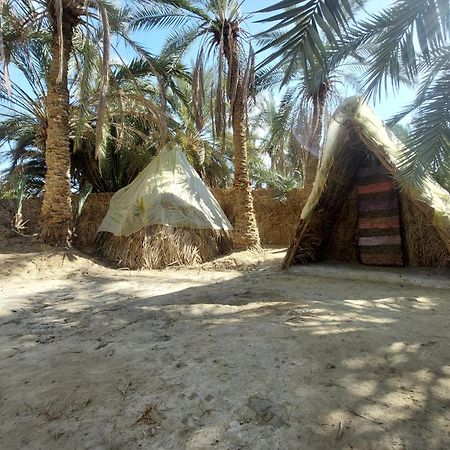 Forest Camp Siwa - كامب الغابة Siwa Oasis Dış mekan fotoğraf