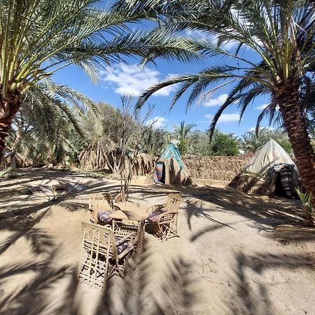 Forest Camp Siwa - كامب الغابة Siwa Oasis Dış mekan fotoğraf