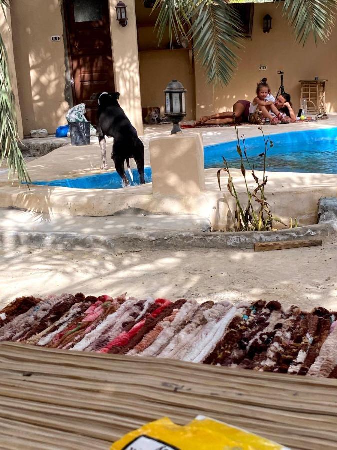 Forest Camp Siwa - كامب الغابة Siwa Oasis Dış mekan fotoğraf