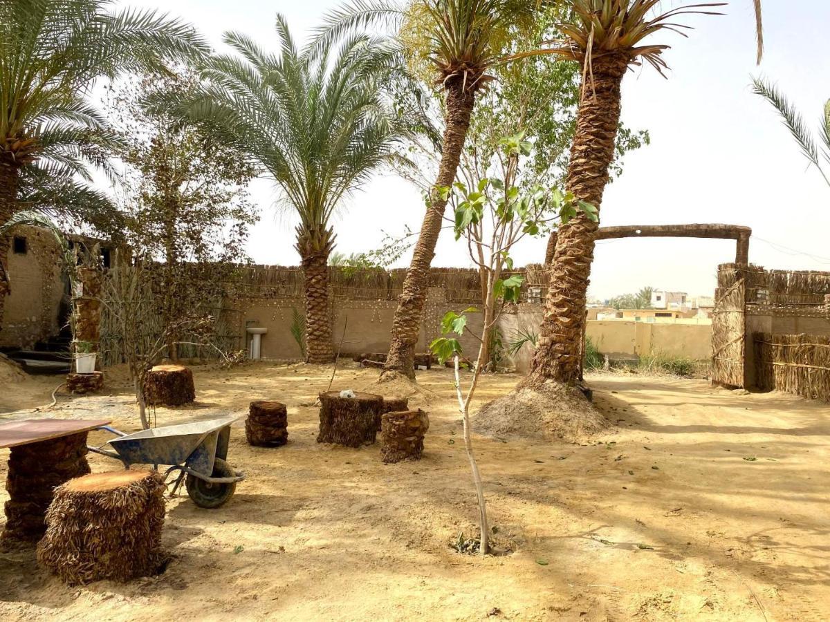 Forest Camp Siwa - كامب الغابة Siwa Oasis Dış mekan fotoğraf