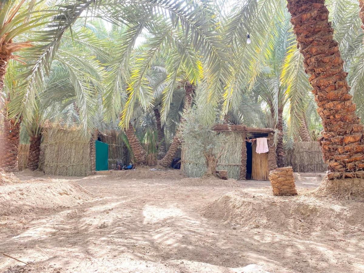 Forest Camp Siwa - كامب الغابة Siwa Oasis Dış mekan fotoğraf