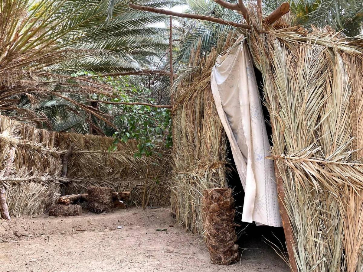 Forest Camp Siwa - كامب الغابة Siwa Oasis Dış mekan fotoğraf