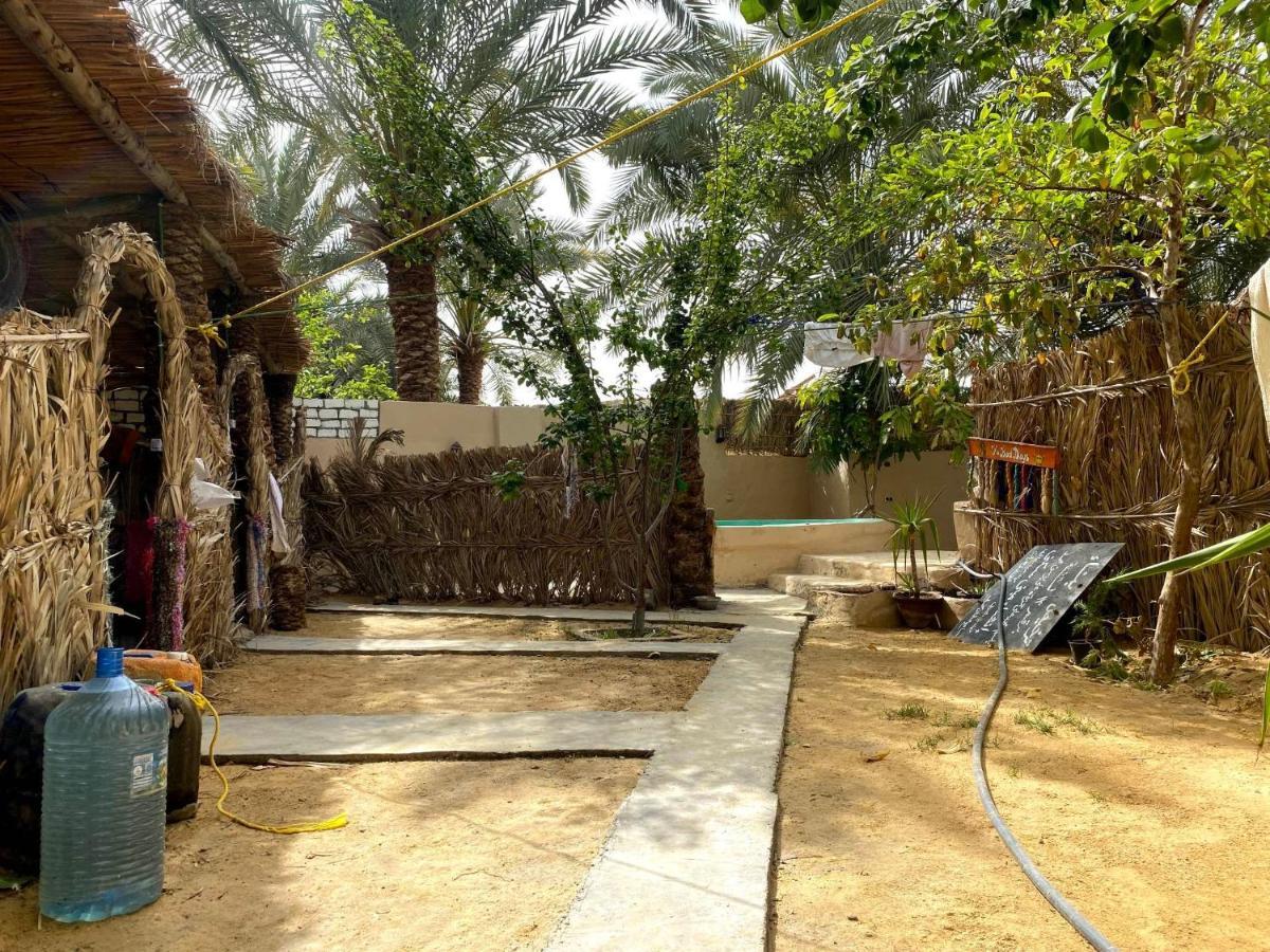 Forest Camp Siwa - كامب الغابة Siwa Oasis Dış mekan fotoğraf