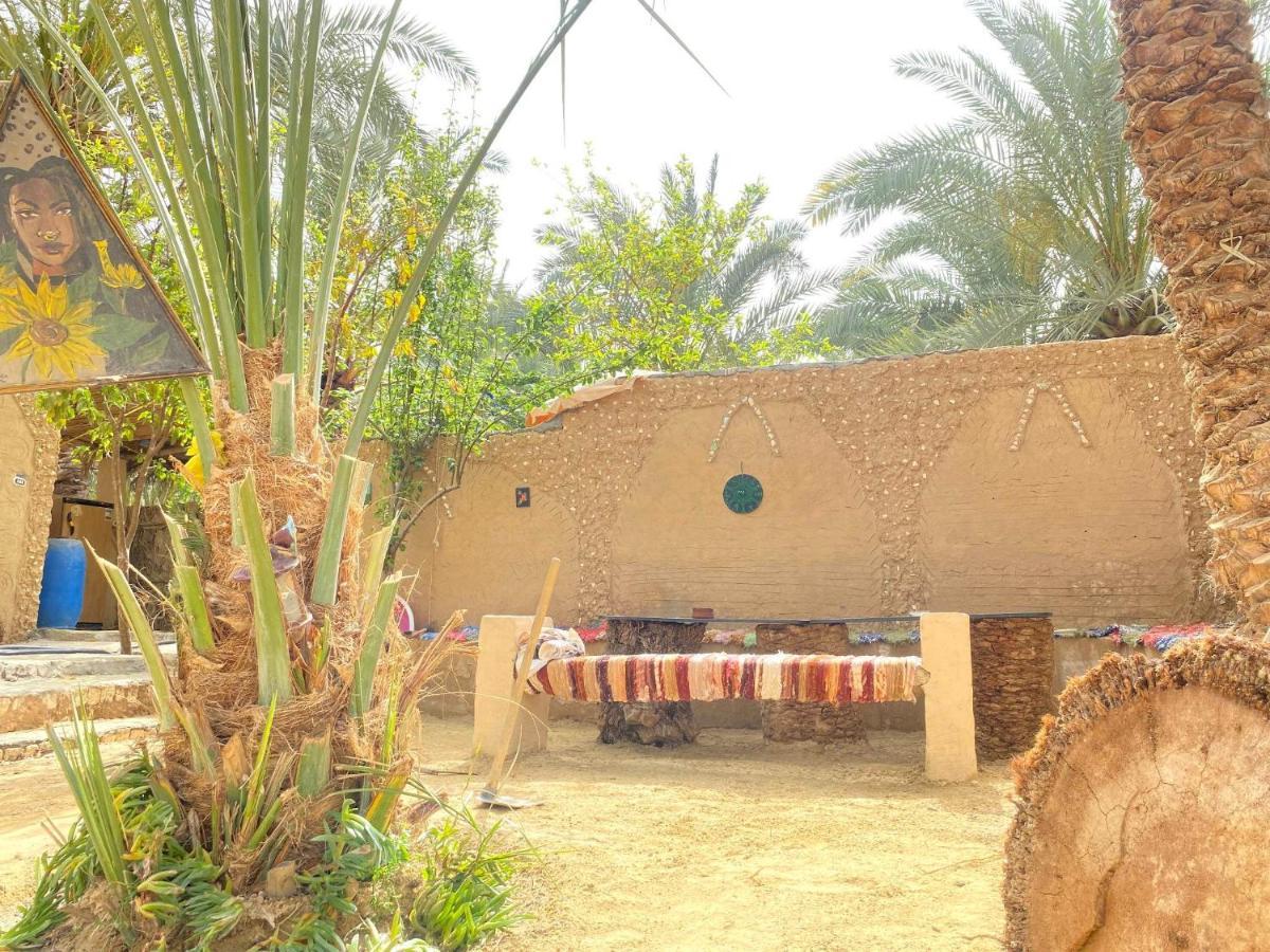 Forest Camp Siwa - كامب الغابة Siwa Oasis Dış mekan fotoğraf