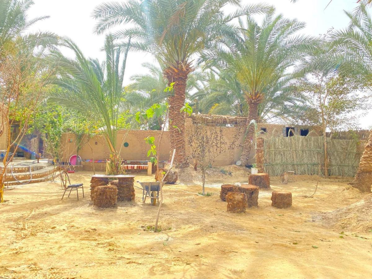 Forest Camp Siwa - كامب الغابة Siwa Oasis Dış mekan fotoğraf