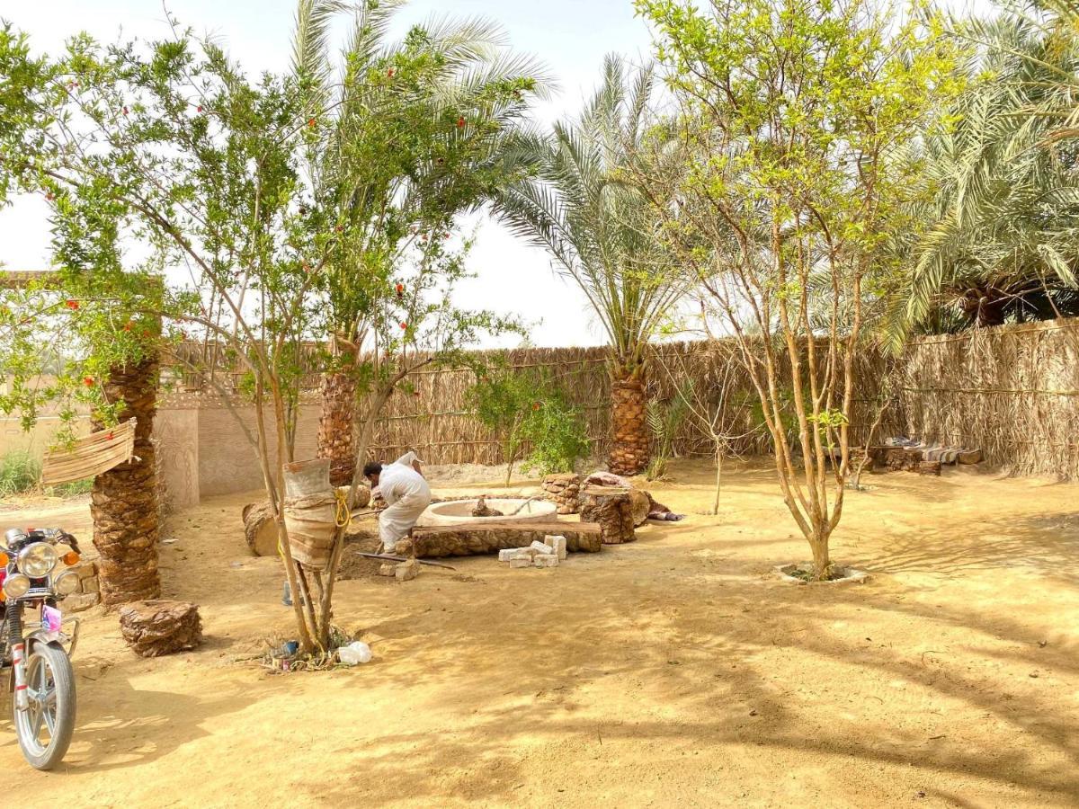 Forest Camp Siwa - كامب الغابة Siwa Oasis Dış mekan fotoğraf