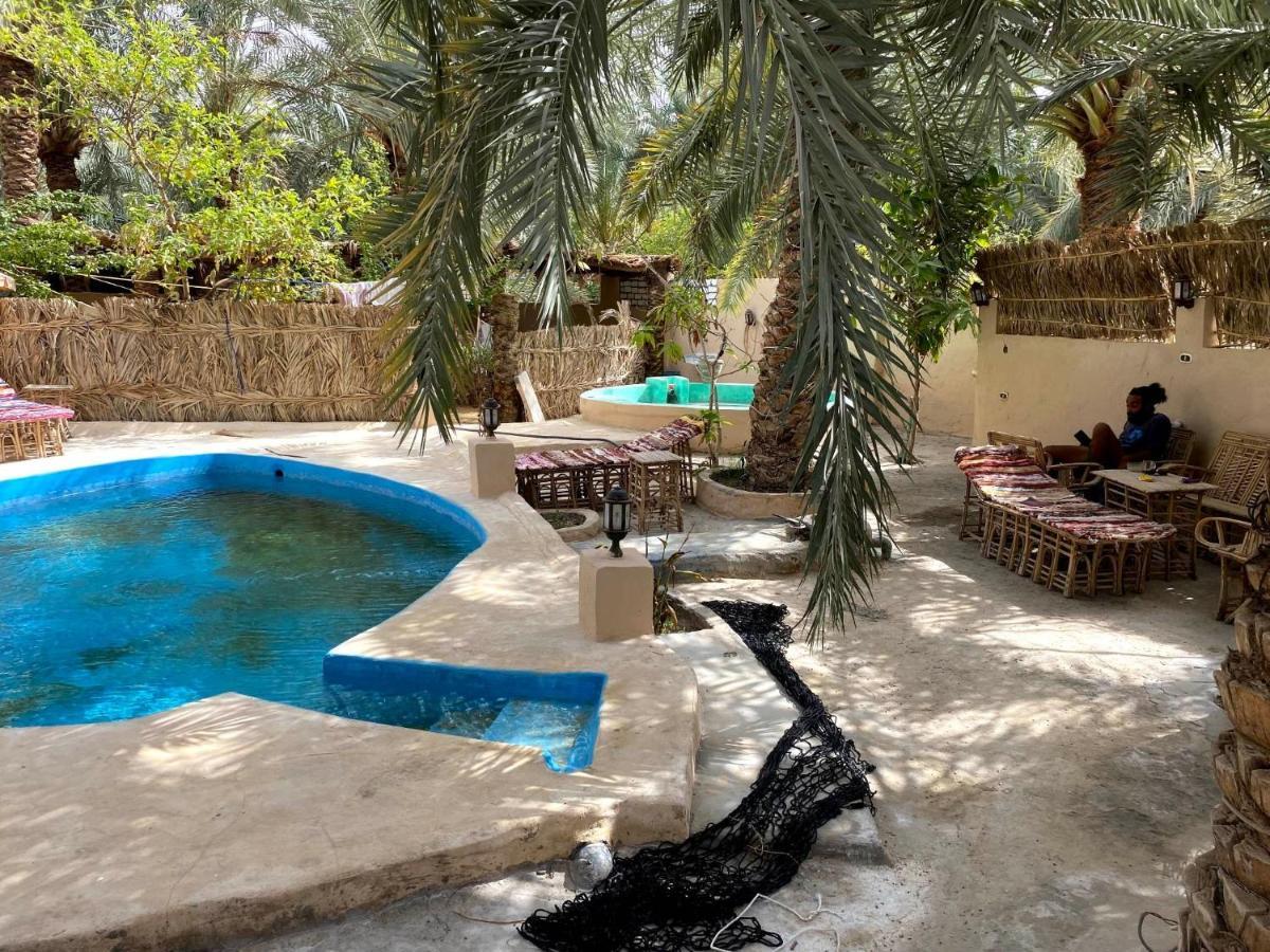 Forest Camp Siwa - كامب الغابة Siwa Oasis Dış mekan fotoğraf