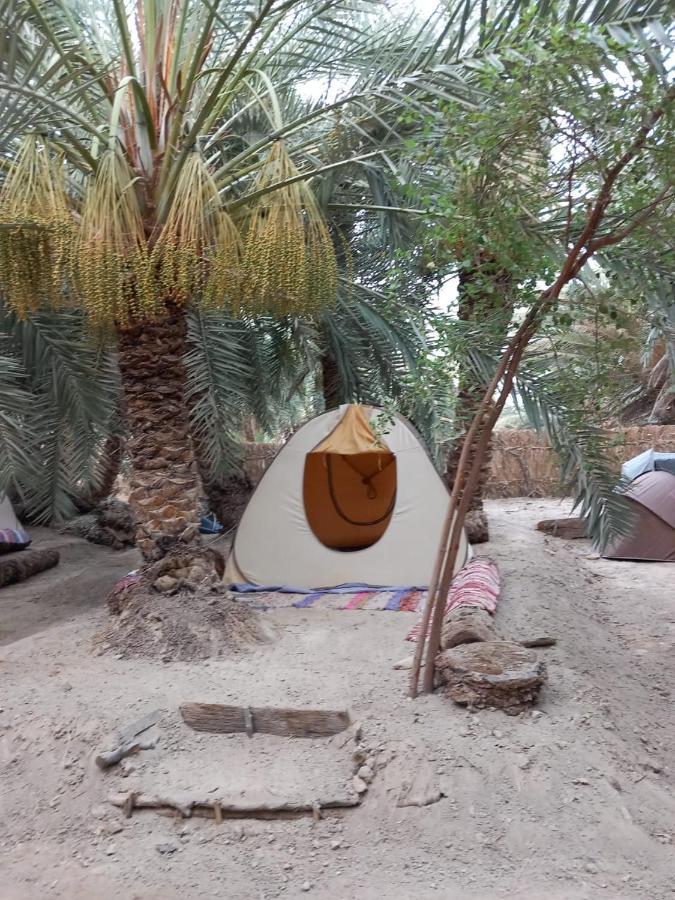 Forest Camp Siwa - كامب الغابة Siwa Oasis Dış mekan fotoğraf