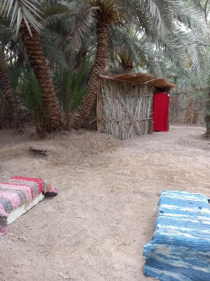 Forest Camp Siwa - كامب الغابة Siwa Oasis Dış mekan fotoğraf