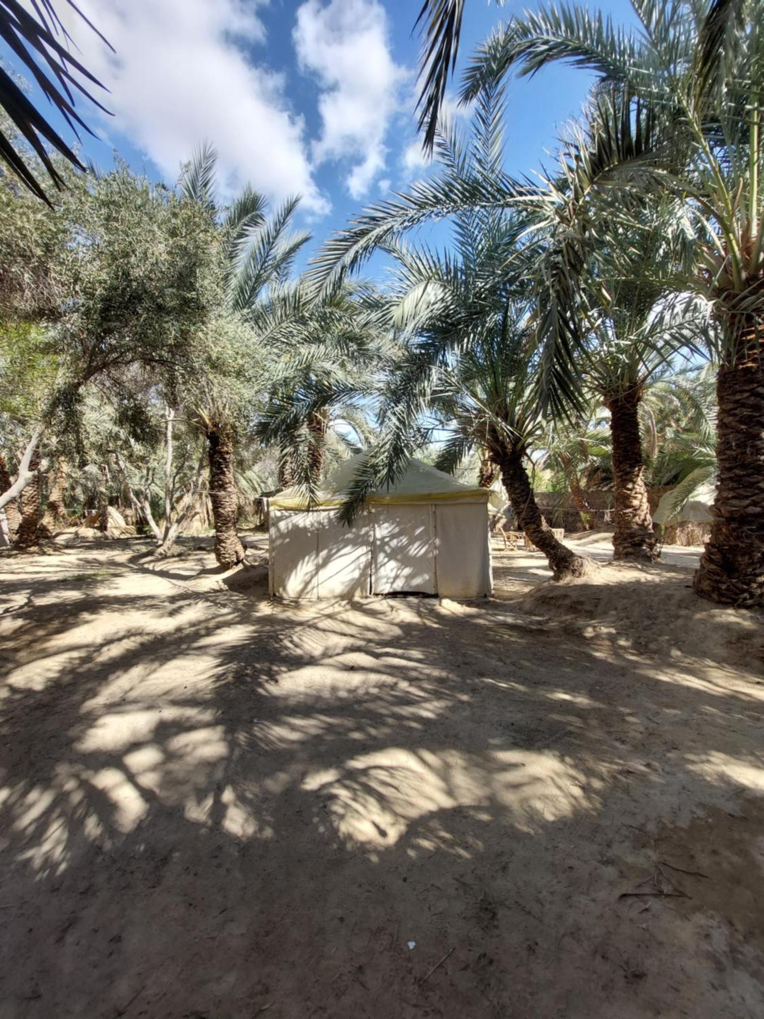 Forest Camp Siwa - كامب الغابة Siwa Oasis Dış mekan fotoğraf