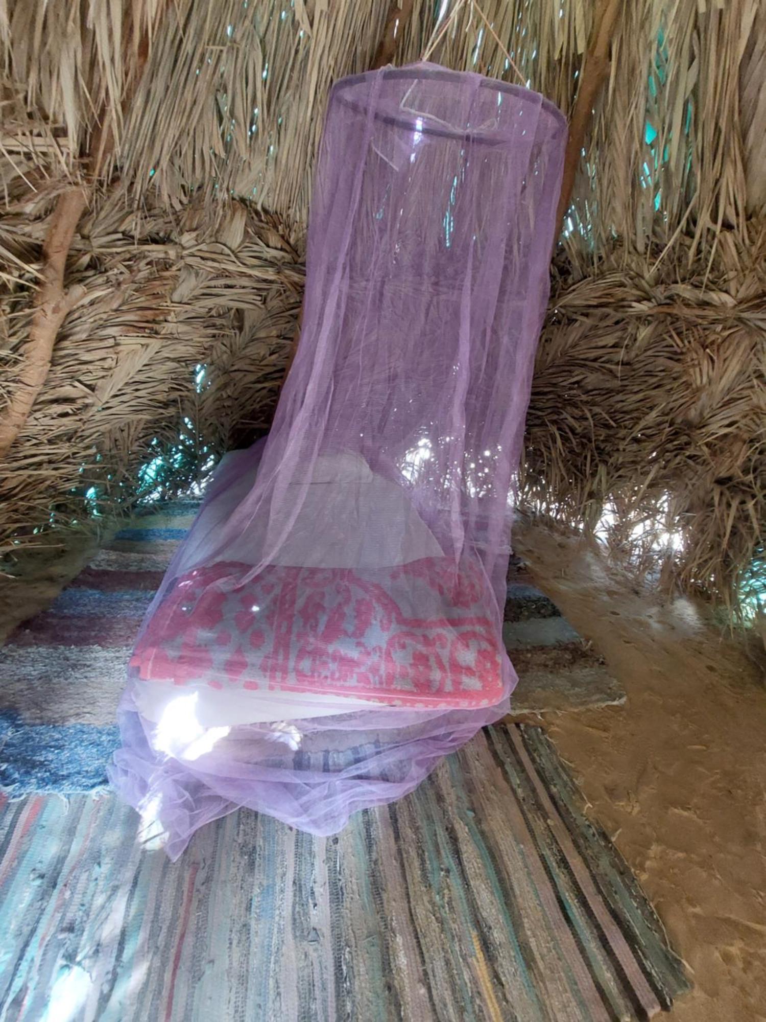 Forest Camp Siwa - كامب الغابة Siwa Oasis Dış mekan fotoğraf