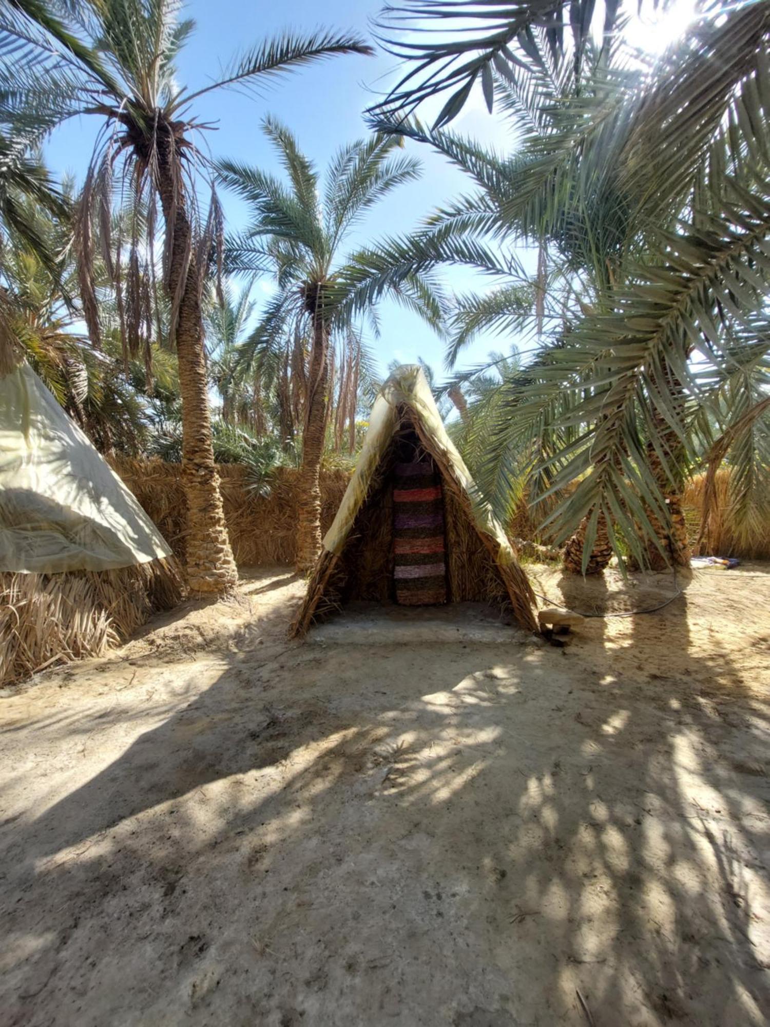 Forest Camp Siwa - كامب الغابة Siwa Oasis Dış mekan fotoğraf