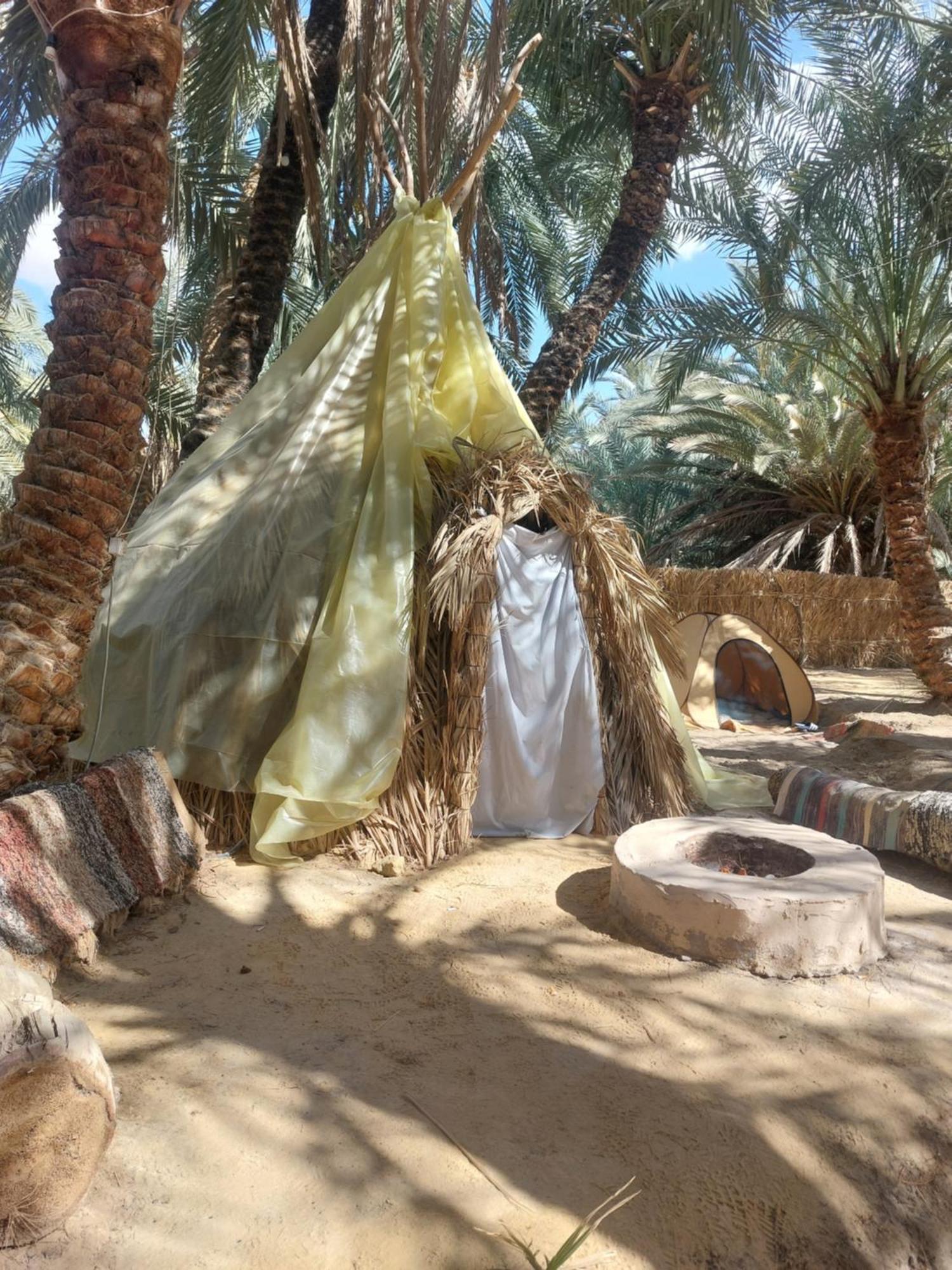 Forest Camp Siwa - كامب الغابة Siwa Oasis Dış mekan fotoğraf