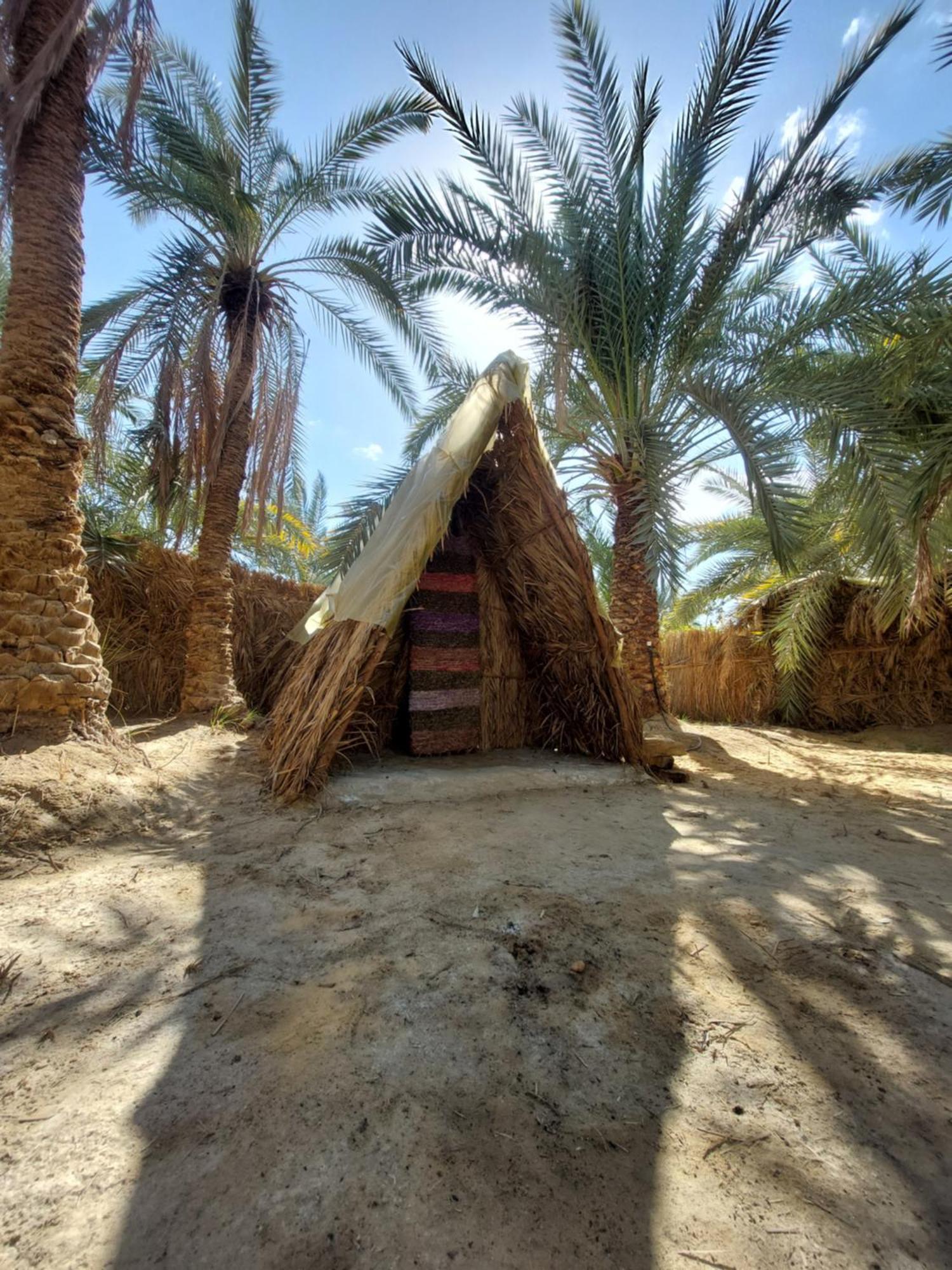 Forest Camp Siwa - كامب الغابة Siwa Oasis Dış mekan fotoğraf