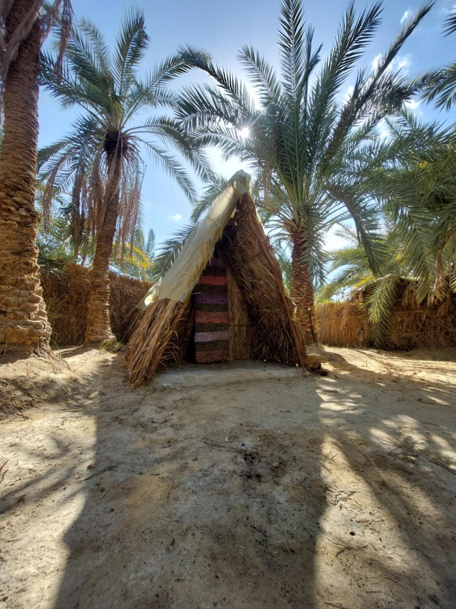 Forest Camp Siwa - كامب الغابة Siwa Oasis Dış mekan fotoğraf