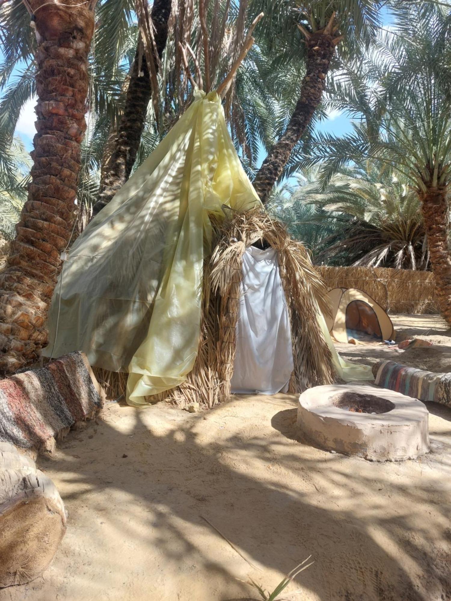 Forest Camp Siwa - كامب الغابة Siwa Oasis Dış mekan fotoğraf