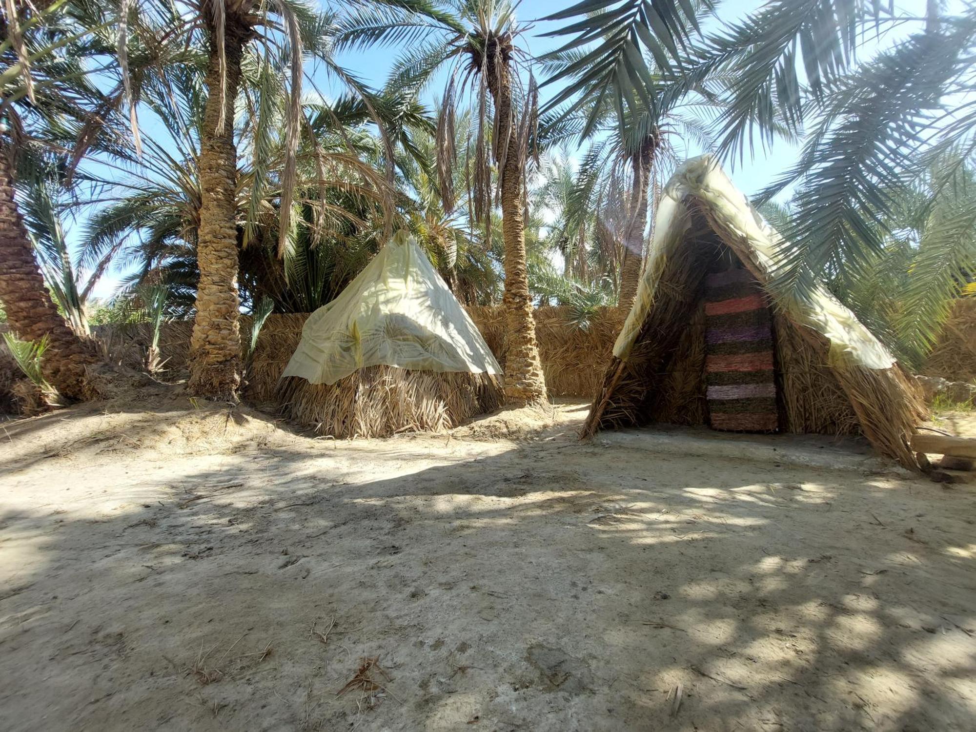 Forest Camp Siwa - كامب الغابة Siwa Oasis Dış mekan fotoğraf