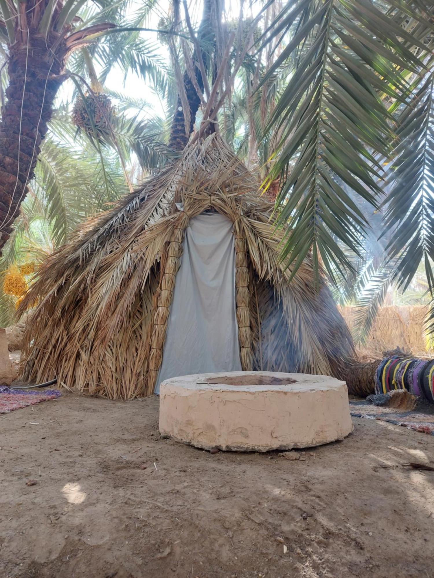 Forest Camp Siwa - كامب الغابة Siwa Oasis Dış mekan fotoğraf