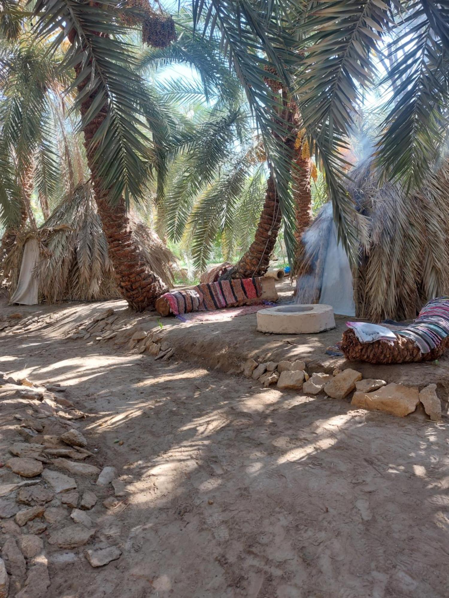 Forest Camp Siwa - كامب الغابة Siwa Oasis Dış mekan fotoğraf