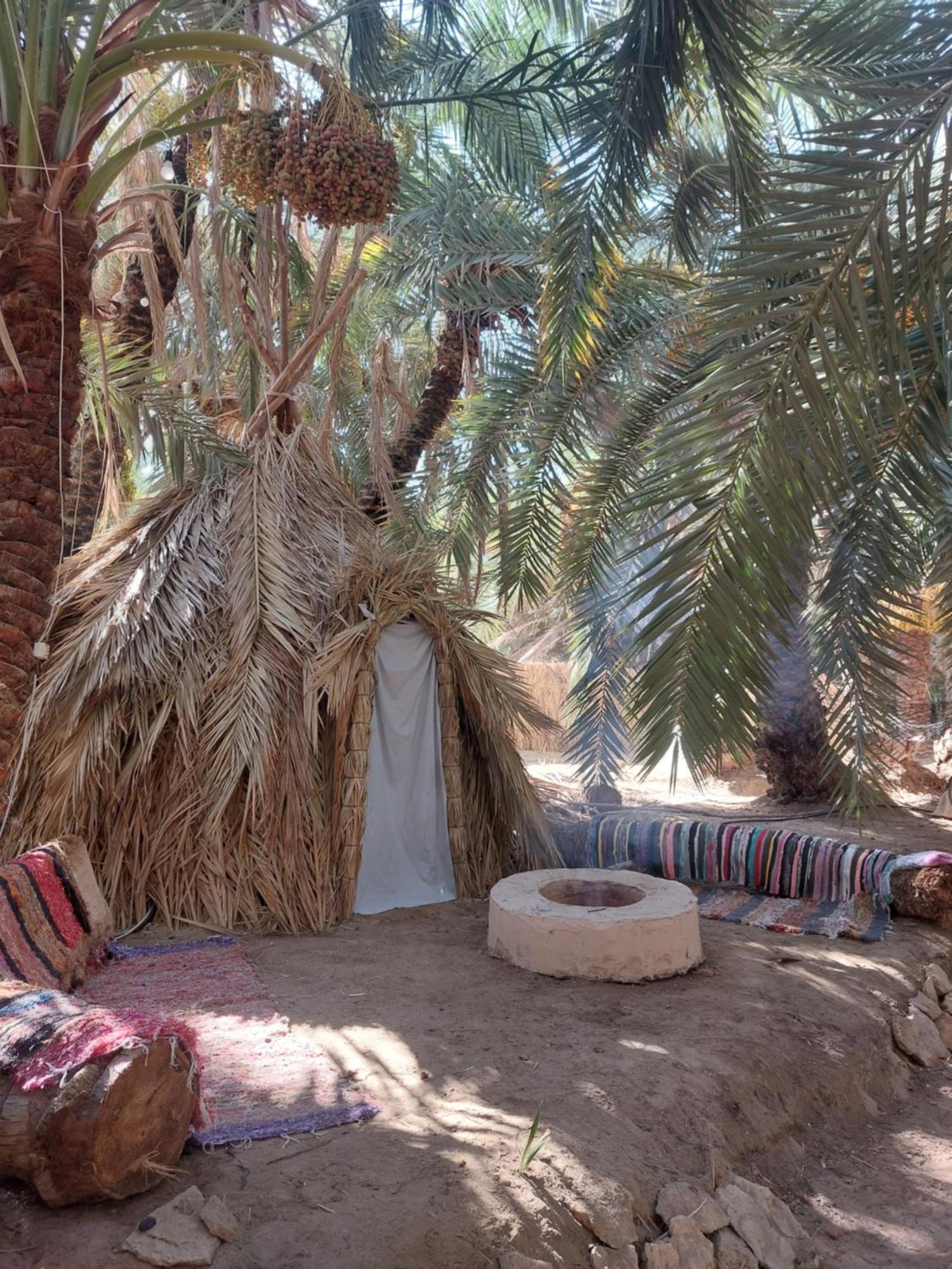 Forest Camp Siwa - كامب الغابة Siwa Oasis Dış mekan fotoğraf
