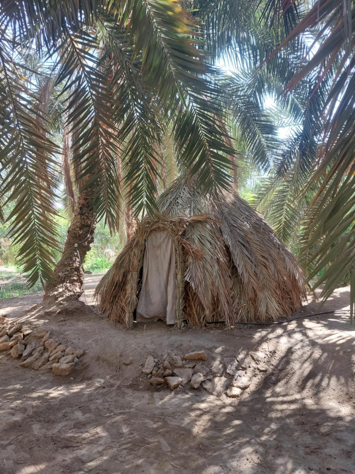 Forest Camp Siwa - كامب الغابة Siwa Oasis Dış mekan fotoğraf