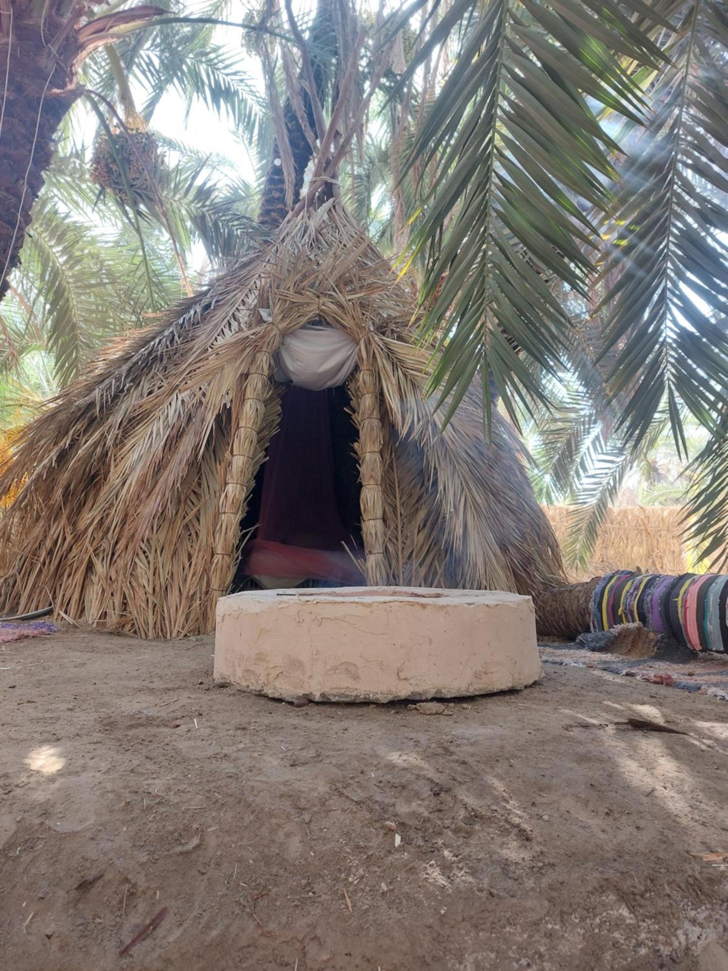 Forest Camp Siwa - كامب الغابة Siwa Oasis Dış mekan fotoğraf
