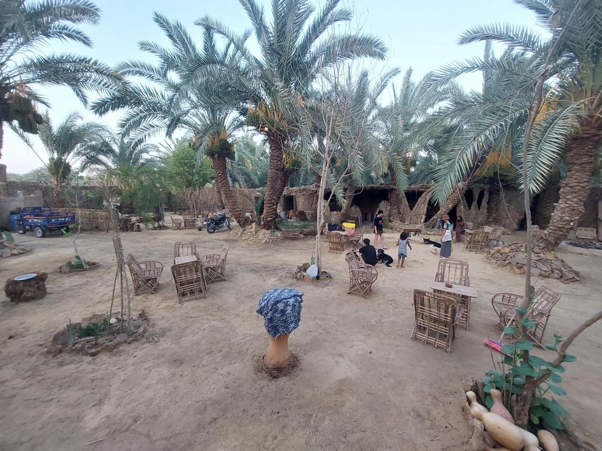 Forest Camp Siwa - كامب الغابة Siwa Oasis Dış mekan fotoğraf
