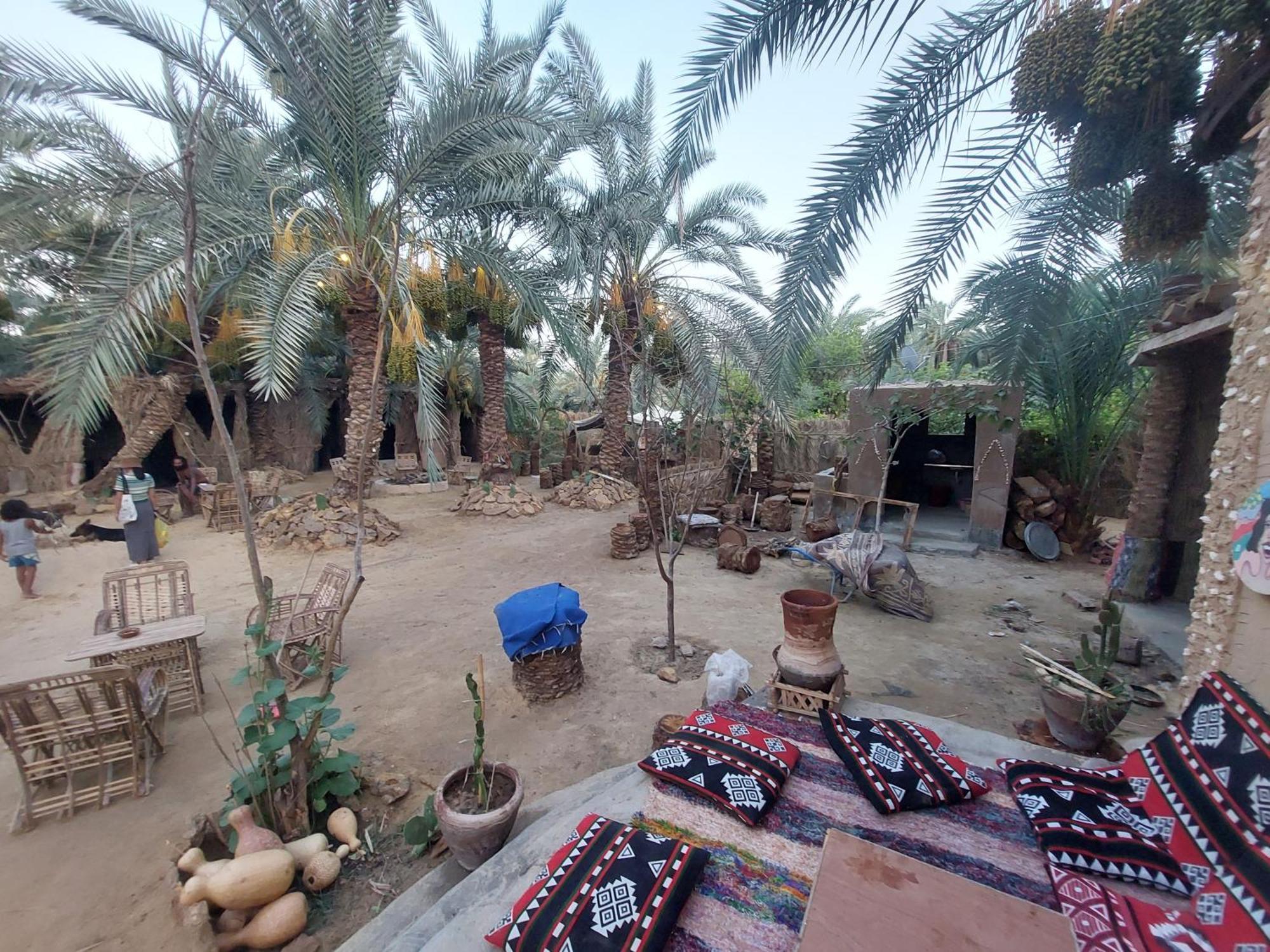 Forest Camp Siwa - كامب الغابة Siwa Oasis Dış mekan fotoğraf