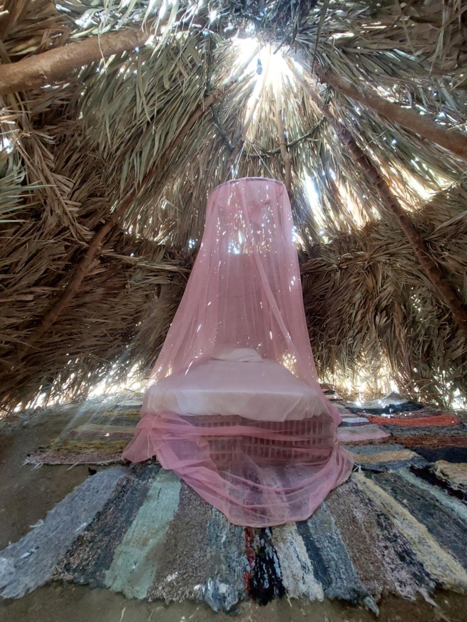 Forest Camp Siwa - كامب الغابة Siwa Oasis Dış mekan fotoğraf