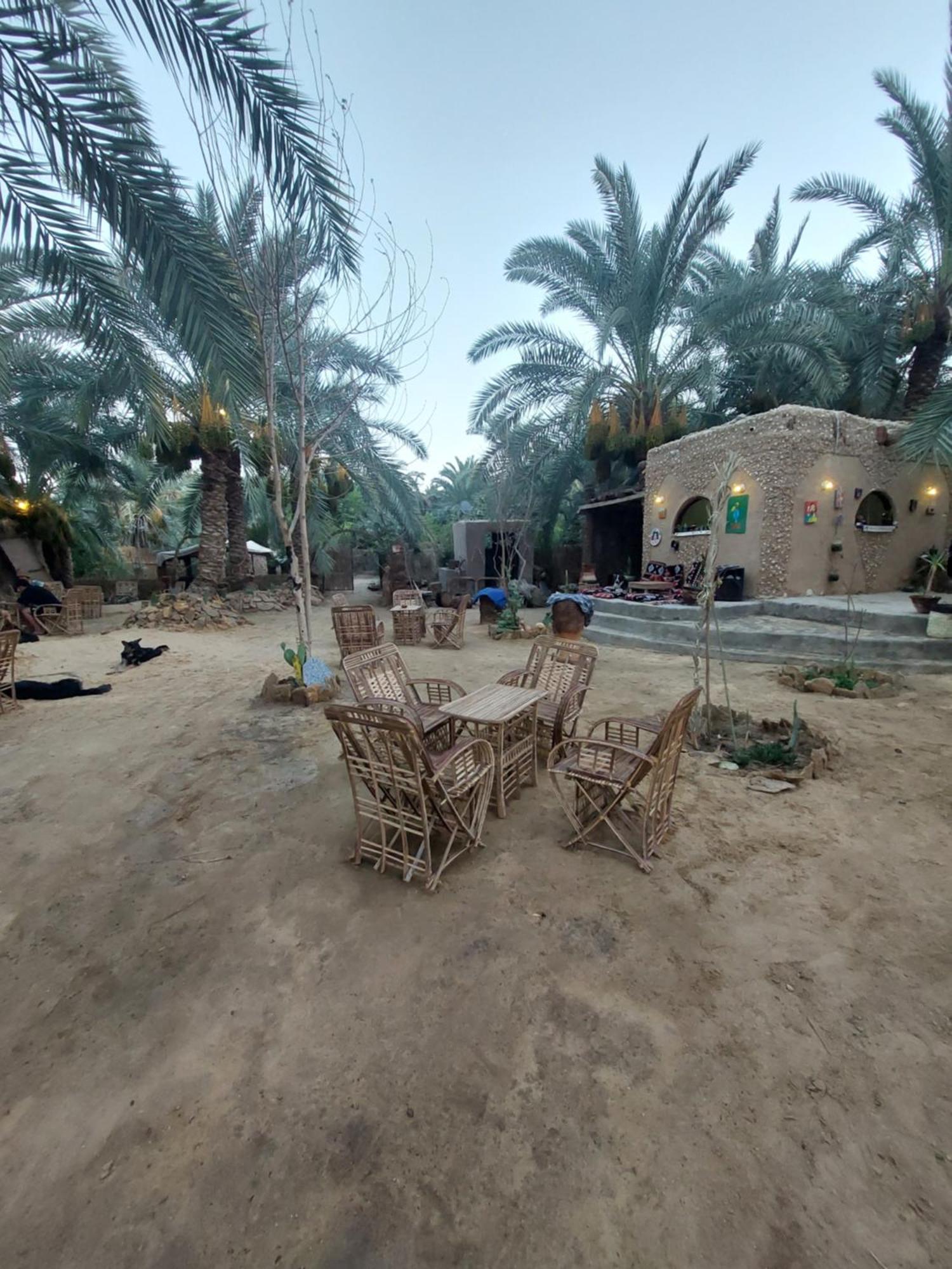 Forest Camp Siwa - كامب الغابة Siwa Oasis Dış mekan fotoğraf
