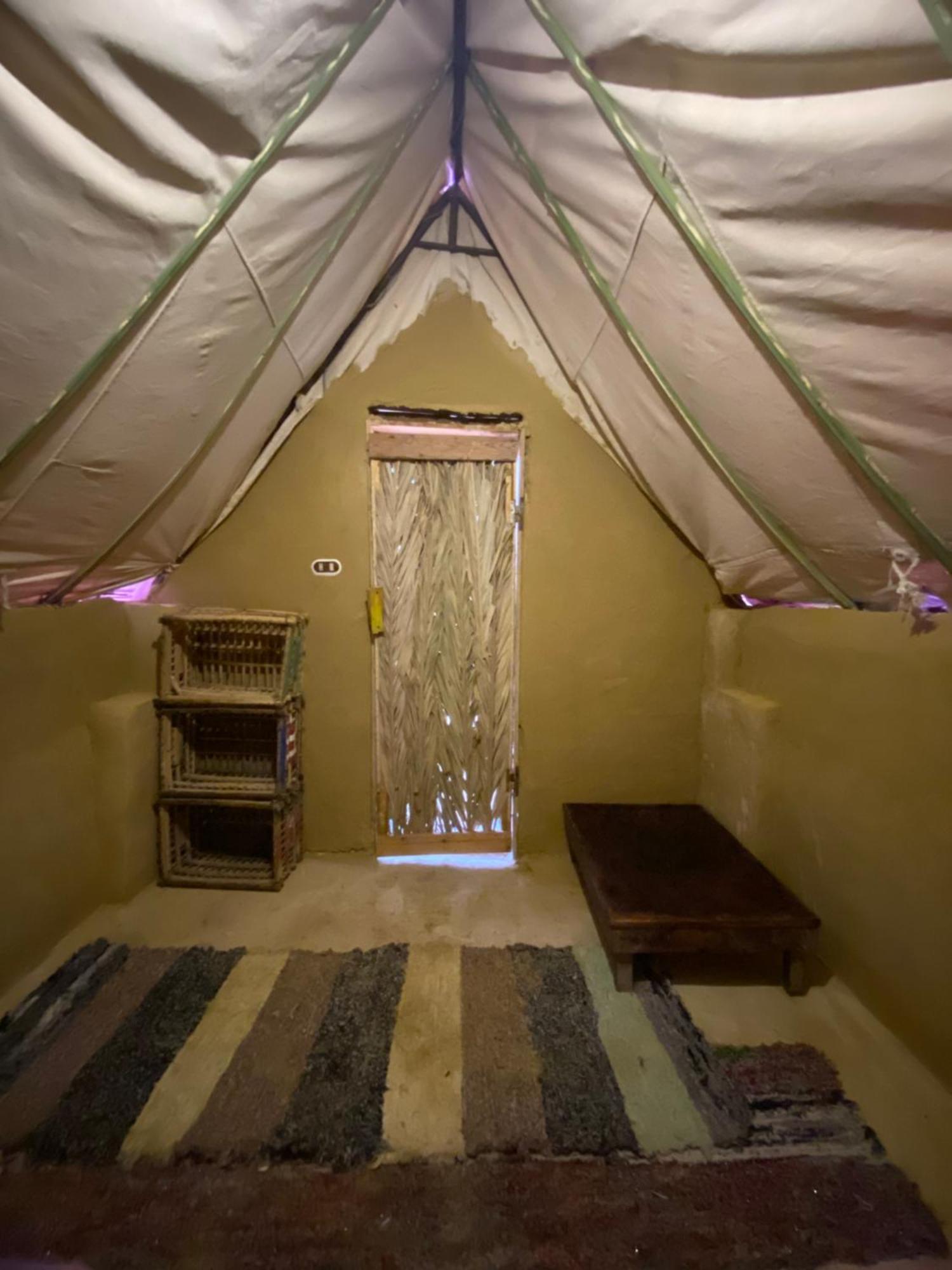 Forest Camp Siwa - كامب الغابة Siwa Oasis Dış mekan fotoğraf