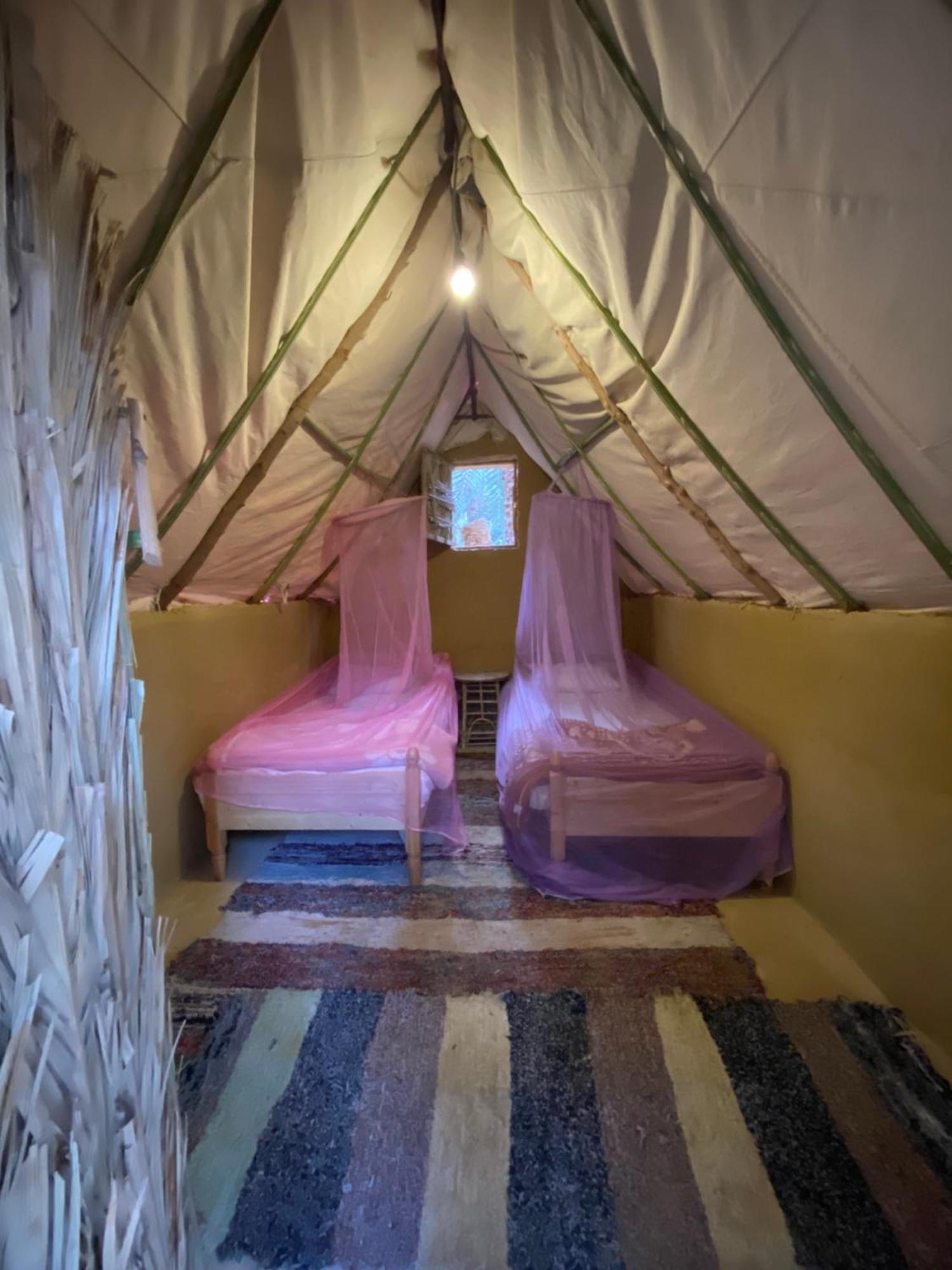 Forest Camp Siwa - كامب الغابة Siwa Oasis Dış mekan fotoğraf