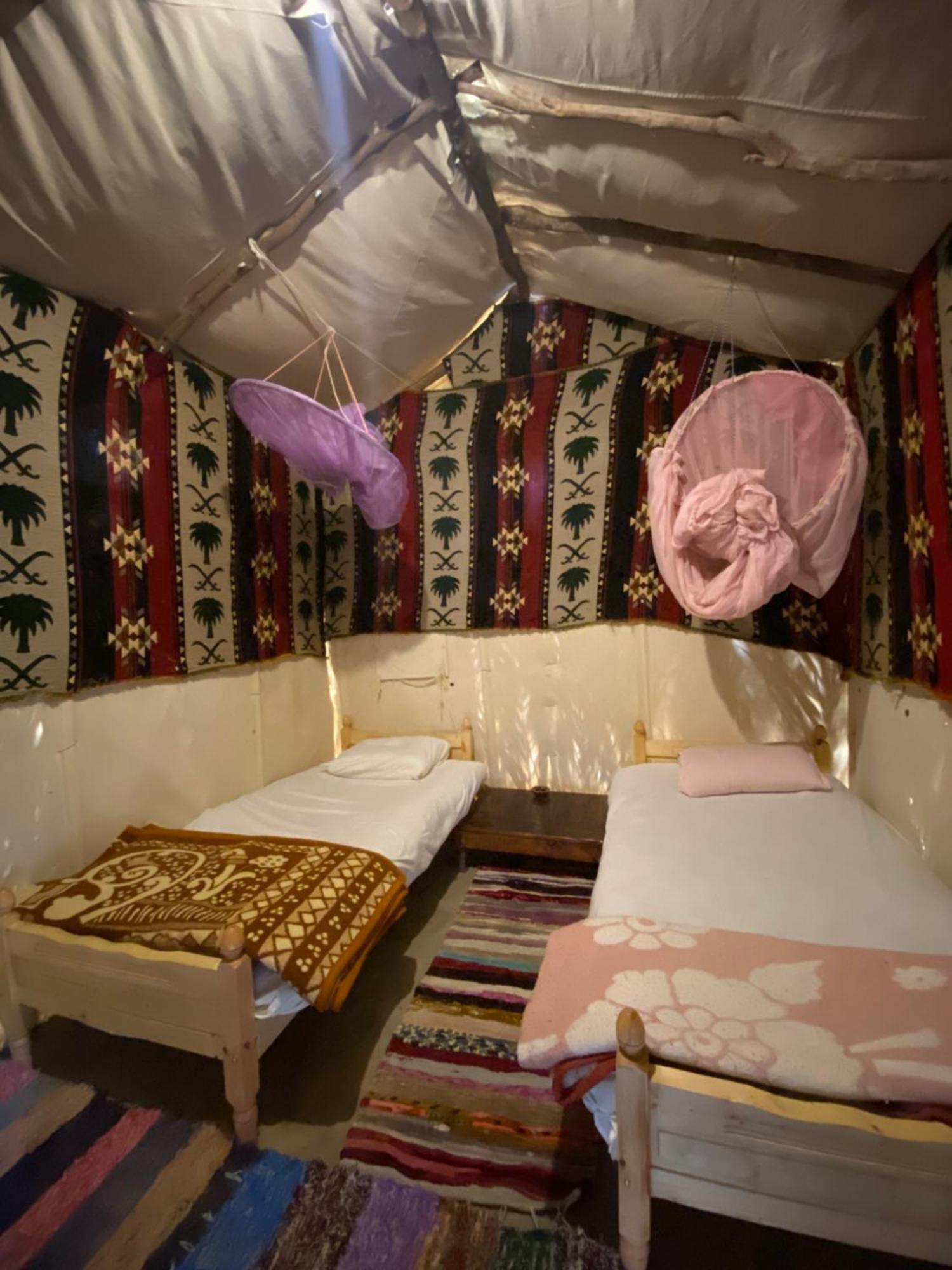 Forest Camp Siwa - كامب الغابة Siwa Oasis Dış mekan fotoğraf