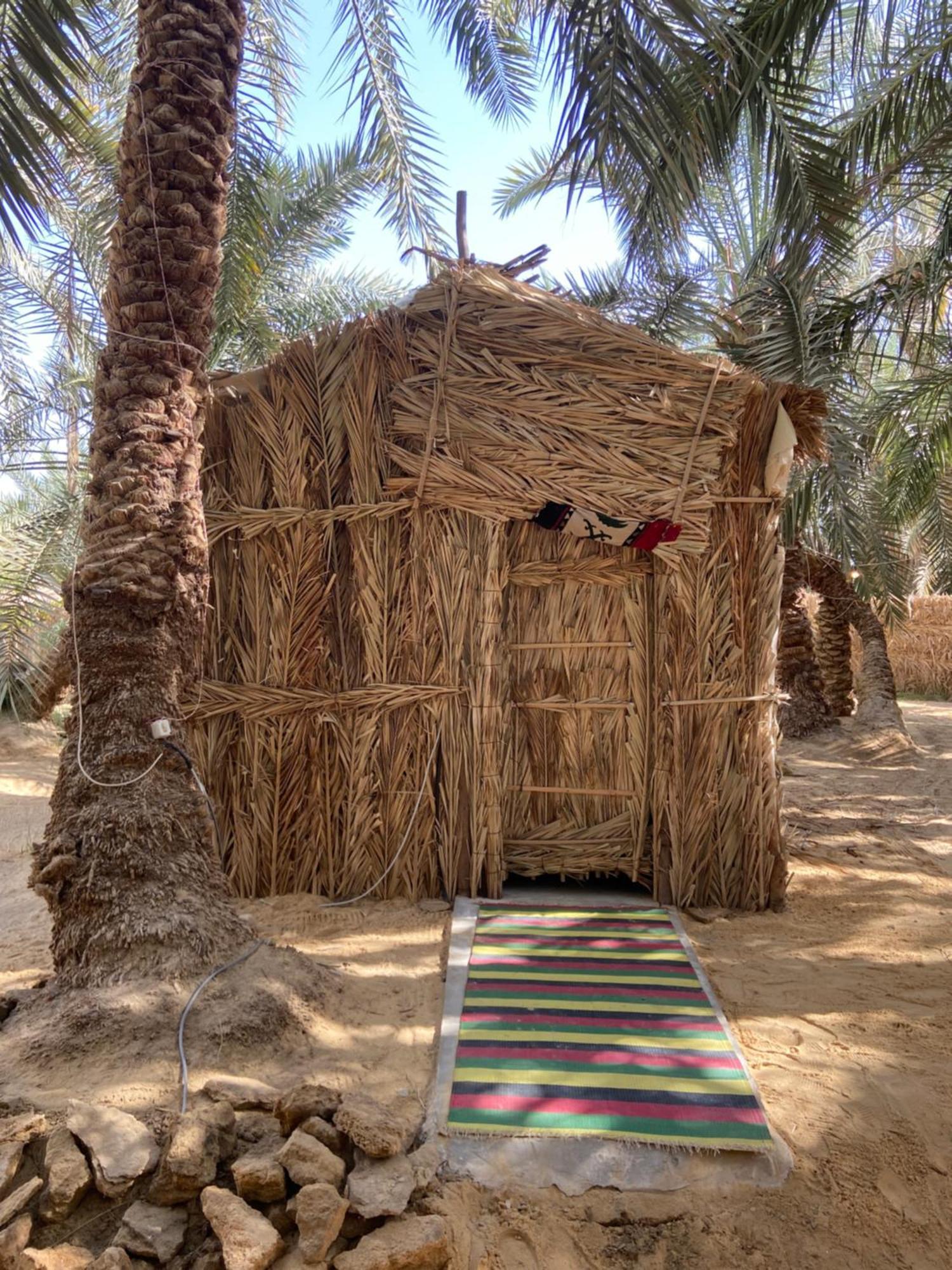 Forest Camp Siwa - كامب الغابة Siwa Oasis Dış mekan fotoğraf