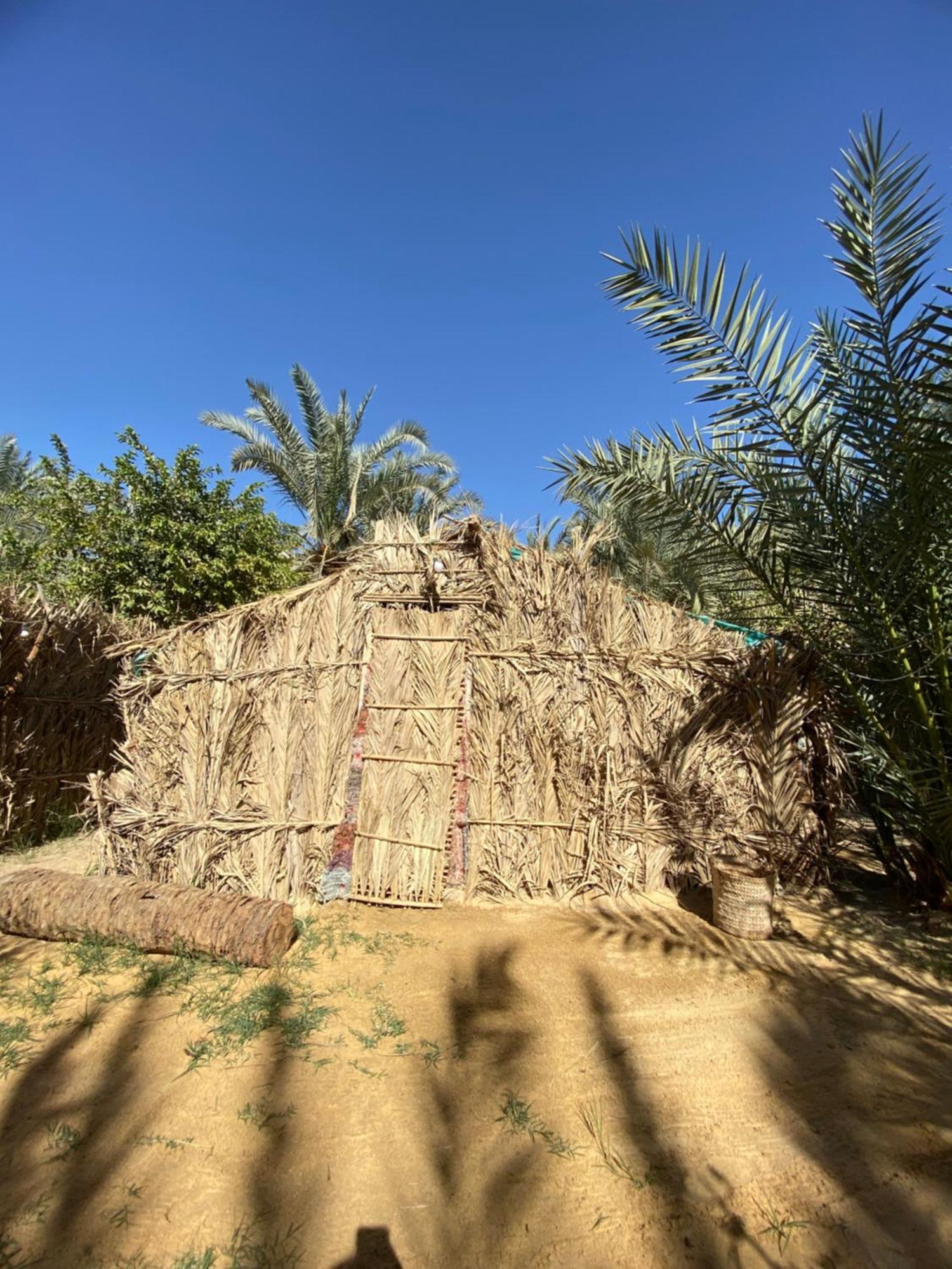 Forest Camp Siwa - كامب الغابة Siwa Oasis Dış mekan fotoğraf