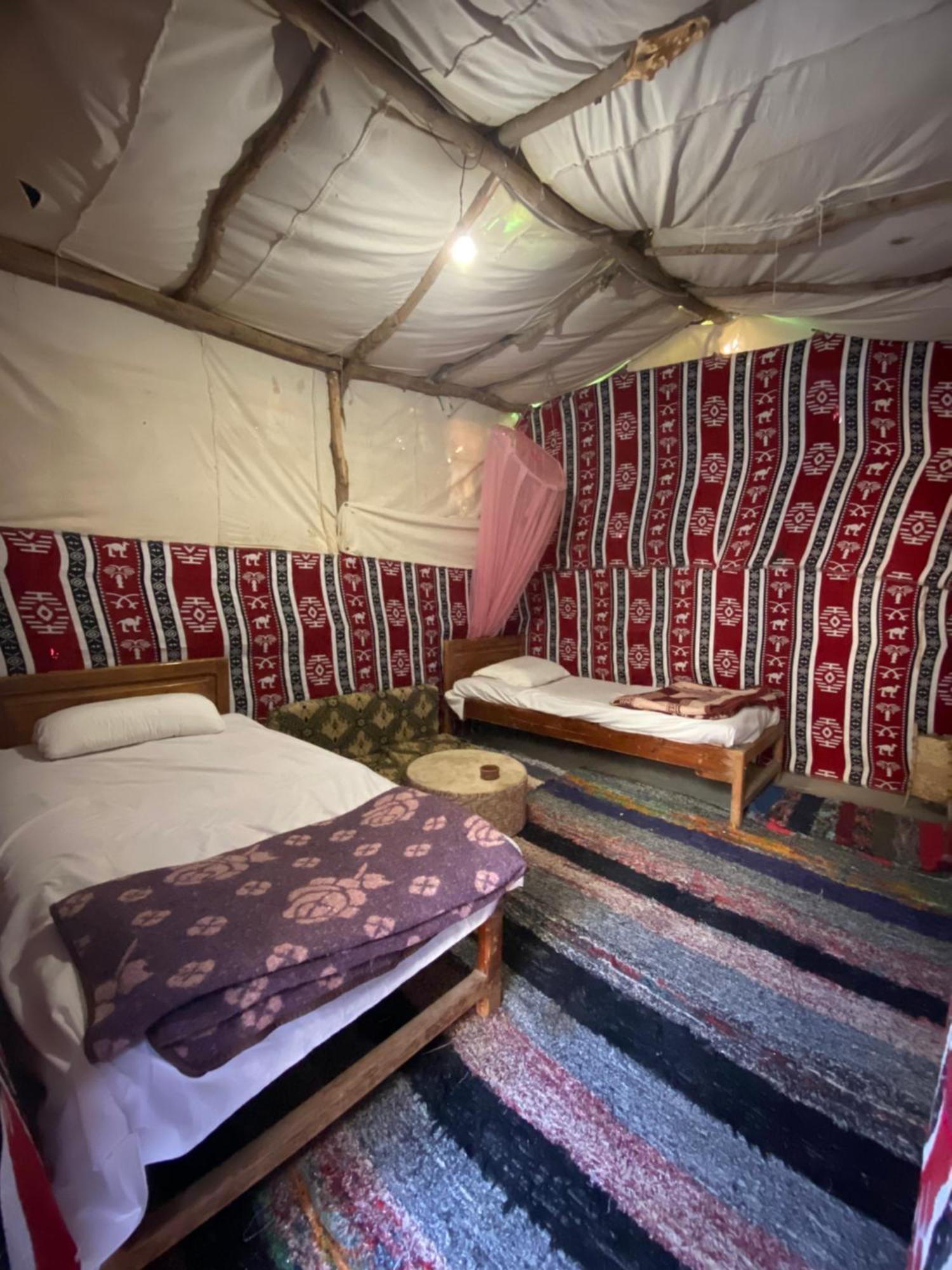 Forest Camp Siwa - كامب الغابة Siwa Oasis Dış mekan fotoğraf