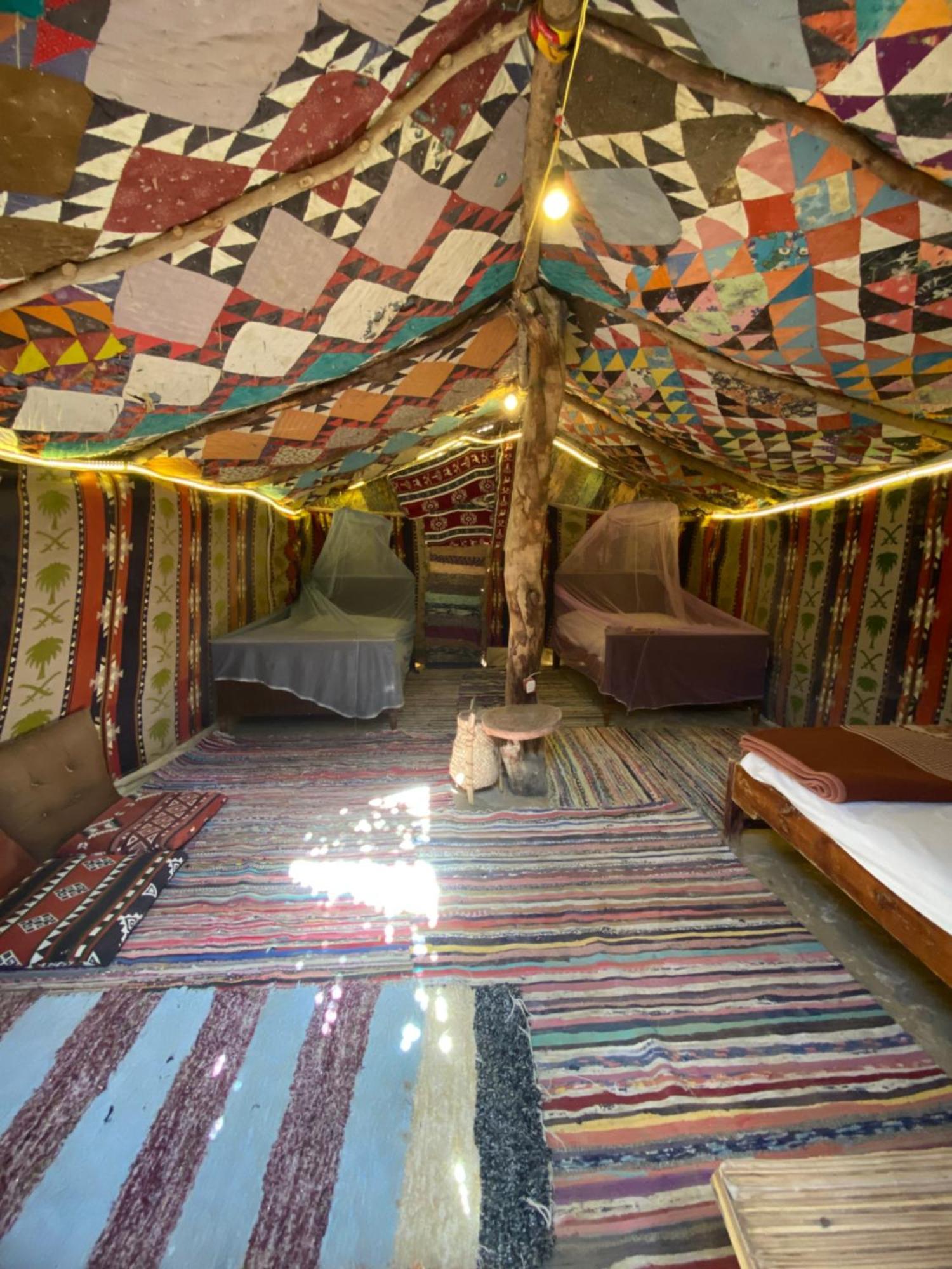 Forest Camp Siwa - كامب الغابة Siwa Oasis Dış mekan fotoğraf
