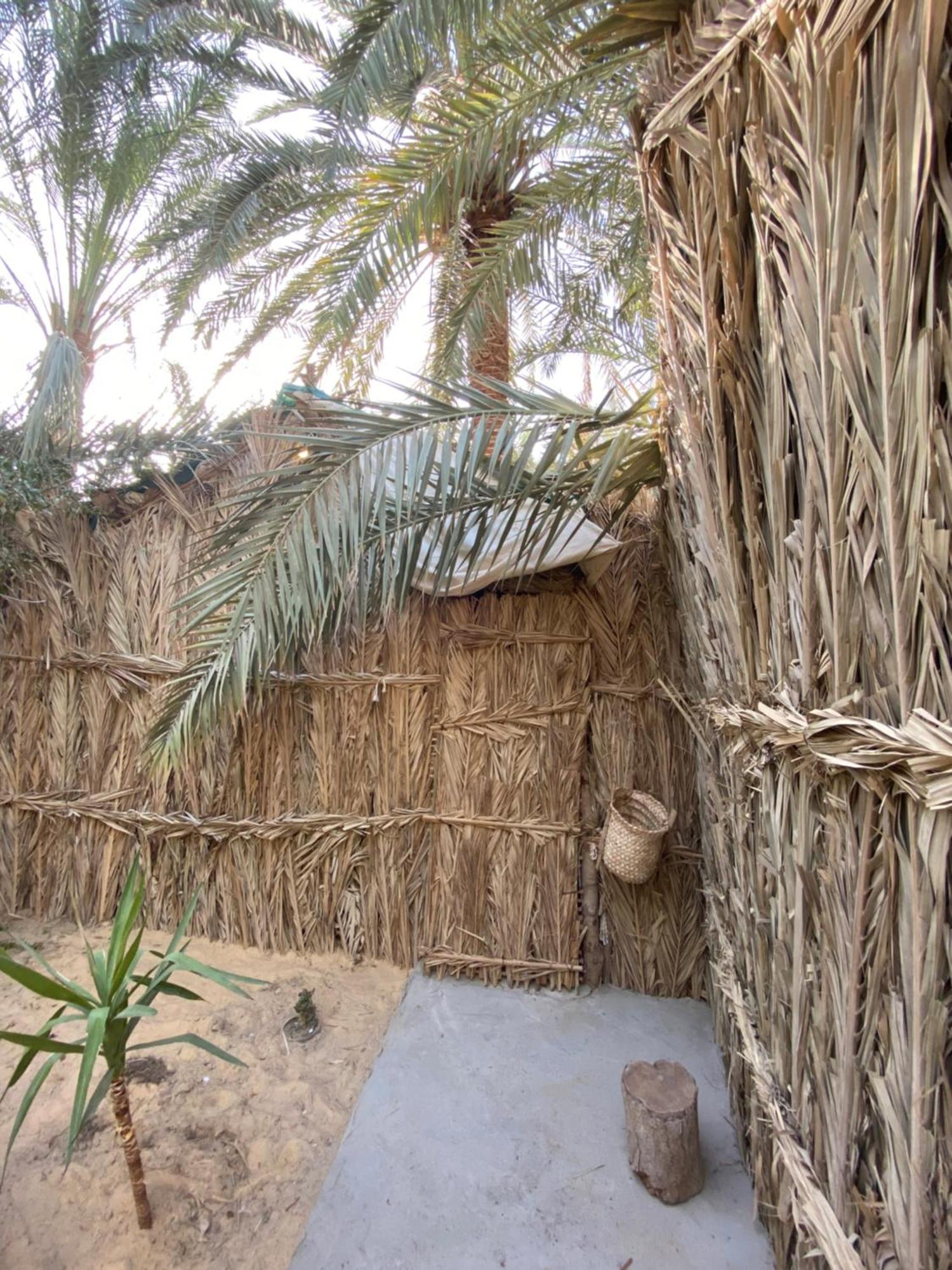 Forest Camp Siwa - كامب الغابة Siwa Oasis Dış mekan fotoğraf