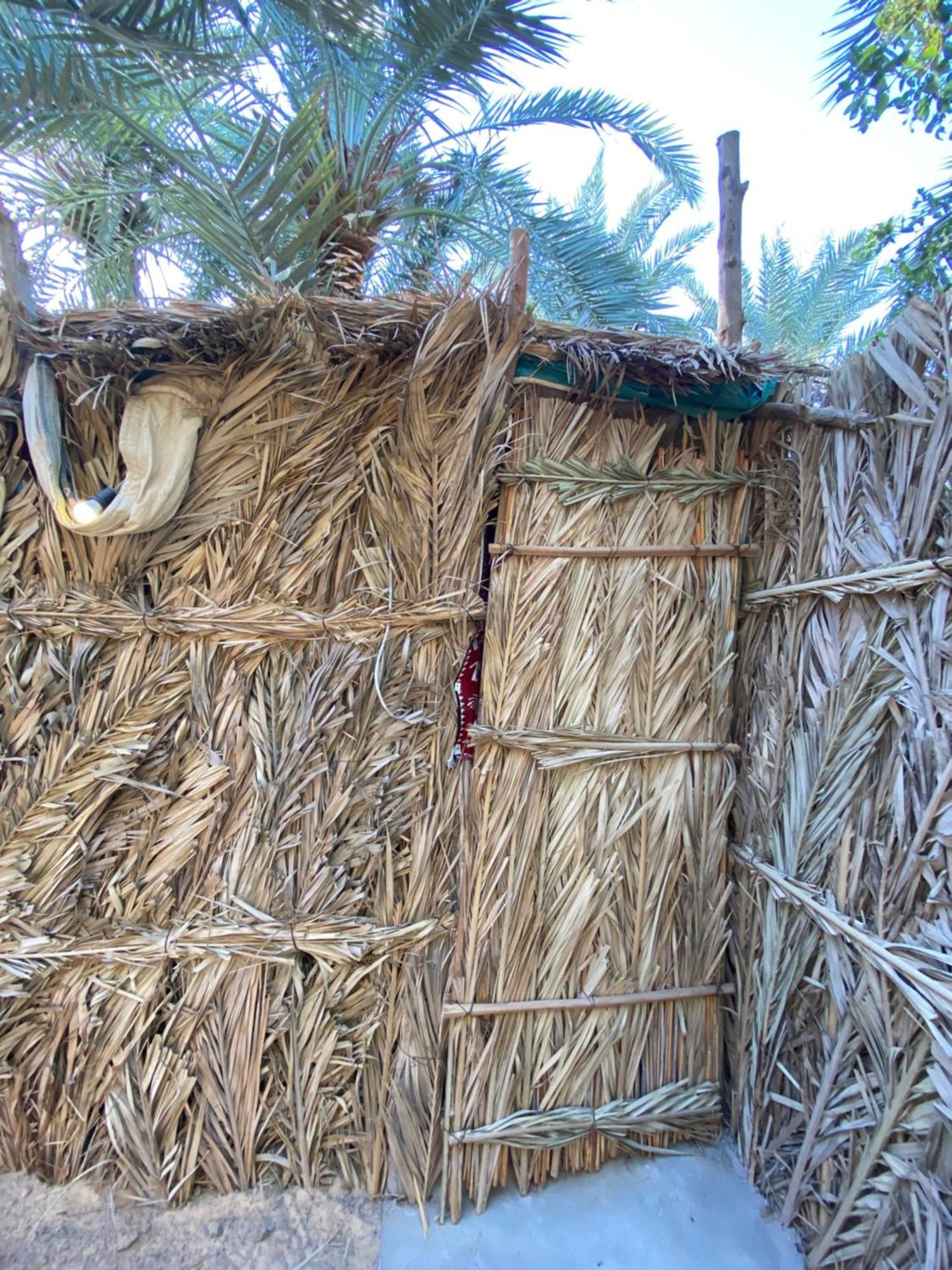 Forest Camp Siwa - كامب الغابة Siwa Oasis Dış mekan fotoğraf