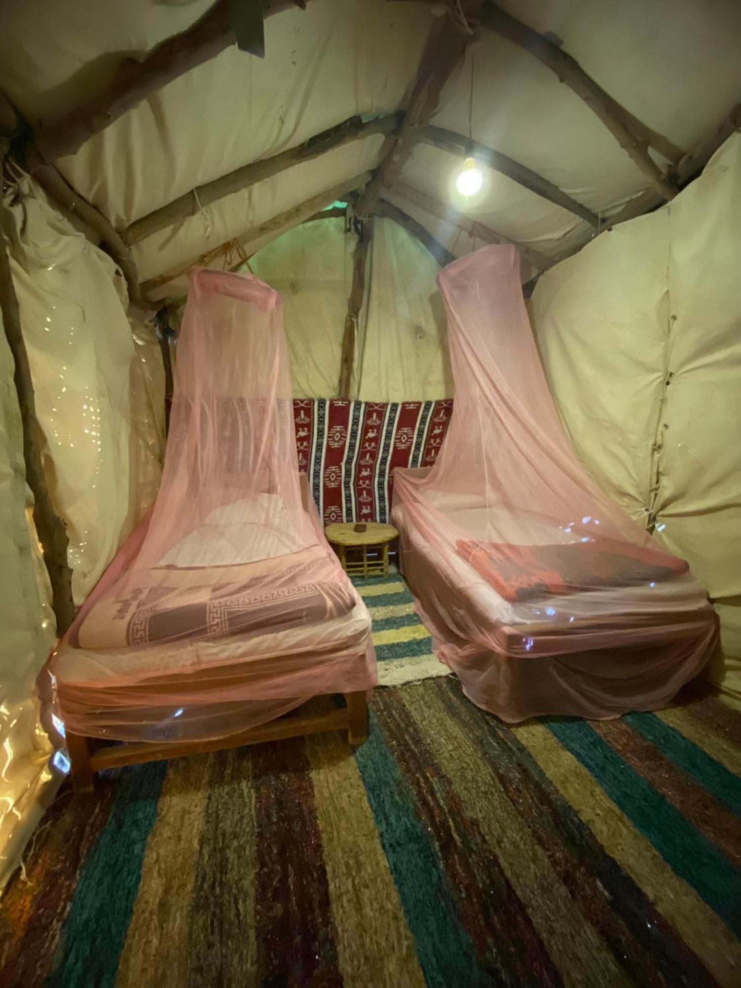 Forest Camp Siwa - كامب الغابة Siwa Oasis Dış mekan fotoğraf